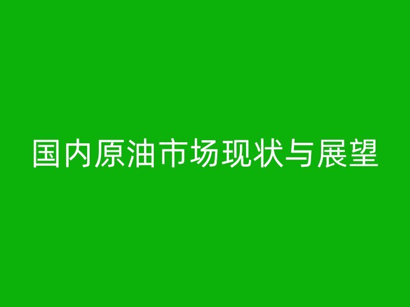 國內(nèi)原油市場現(xiàn)狀與展望